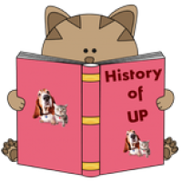 a kitty reading a book